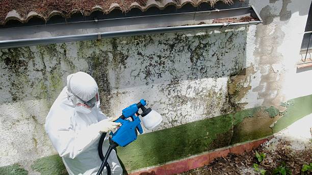 Top rated local Black Mold Remediation specialists in Bryn Athyn, PA